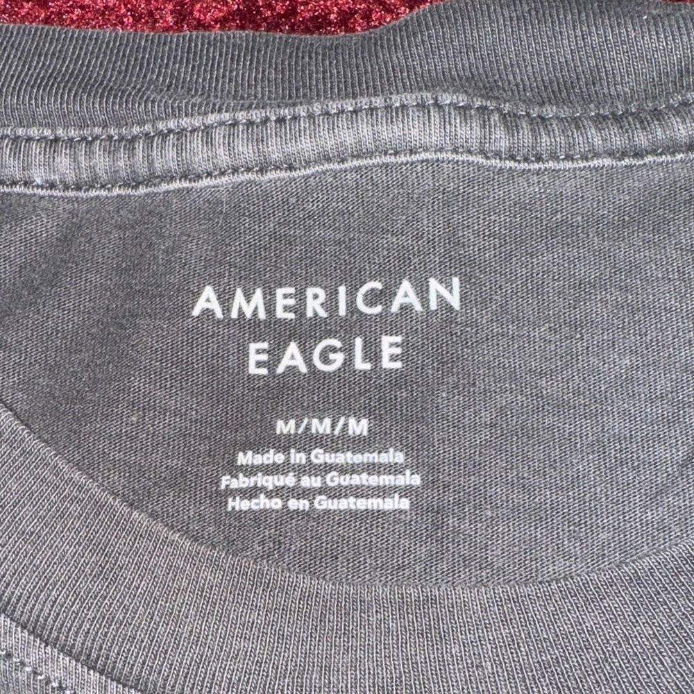 American Eagle is Outfitters oversized Charcoal Graphic Tee